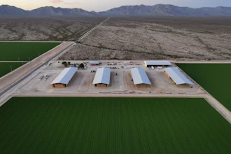 Bales of hay are stored under shelters at Al Dahra Farms, Tuesday, Oct. 17, 2023, in the McMullen Valley in Wenden, Ariz.