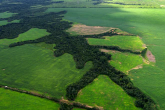 Deforested areas alongside an area protected for native forest, Paragominas, Brazil, May 30, 2023.