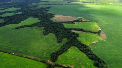Deforested areas alongside an area protected for native forest, Paragominas, Brazil, May 30, 2023.