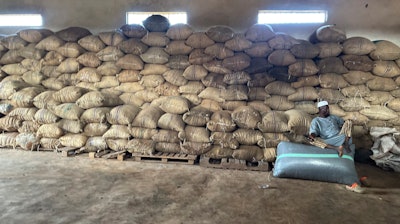 A man sits on a bag of cocoa at the Kadet Agro Allied Investment Ltd. warehouse inside the conservation zone of the Omo Forest Reserve in Nigeria, Monday, Oct. 23, 2023.