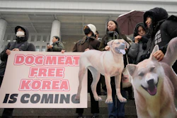 Animal rights activists attend a rally at the National Assembly in Seoul, Jan. 9, 2024.