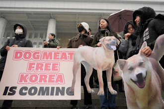 Animal rights activists attend a rally at the National Assembly in Seoul, Jan. 9, 2024.