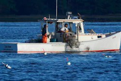 A lobster fisherman hauls a trap off Kennebunkport, Maine, Sept. 8, 2022.