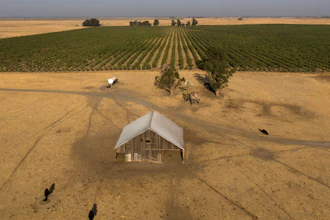 Aerial photo of farmland in Solano County, Calif., Aug. 30, 2023.