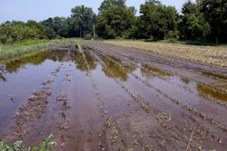 Flood waters at the Intervale Community Farm, Burlington, Vt.., July 17, 2023.
