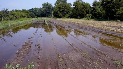 Flood waters at the Intervale Community Farm, Burlington, Vt.., July 17, 2023.