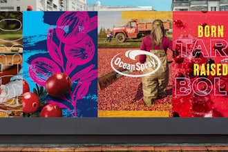 Ocean Spray Cranberries Inc.