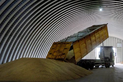A dump track unloads grain in a granary, Zghurivka, Ukraine, Aug. 9, 2022.