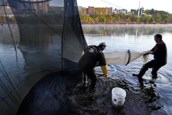 Darrell Young and his son, Dustin, set up a fyke net to capture baby eels on the Penobscot River, Brewer, Maine, May 15, 2021.