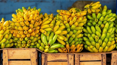 Bananas at a market in Guayaquil, Ecuador.