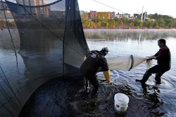 Darrell Young and his son, Dustin, set up a fyke net to capture baby eels on the Penobscot River, Brewer, Maine, May 15, 2021.