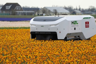 Theo the robot works weekdays, weekends and nights and never complains about a sore spine despite performing hour upon hour of what for a regular farmworker would be backbreaking work checking Dutch tulip fields for sick flowers in Noordwijkerhout, Netherlands, Tuesday, March 19, 2024.