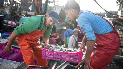 Fishermen transport their catch after docking in the main port in Dakhla city, Western Sahara, Dec. 21, 2020.