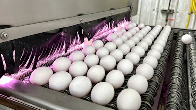 Eggs are cleaned and disinfected at the Sunrise Farms processing plant, Petaluma, Calif., Jan. 11, 2024