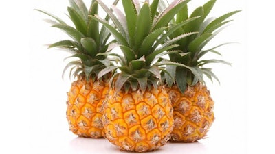 Baby Pineapple 2