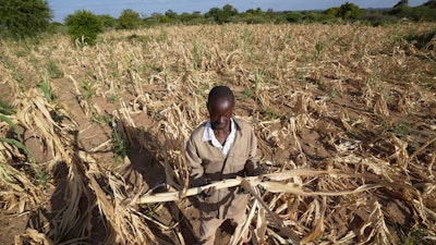 James Tshuma, a farmer in the Mangwe district of Zimbabwe, stands in a dried up field, March, 22, 2024.