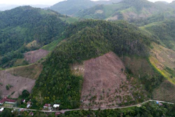 A hill cleared for a corn plantation in Polewali Mandar, Indonesia, April 20, 2024.