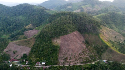 A hill cleared for a corn plantation in Polewali Mandar, Indonesia, April 20, 2024.