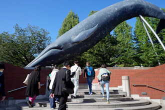 A model of a whale at the National Science Museum, Tokyo, May 9, 2024.
