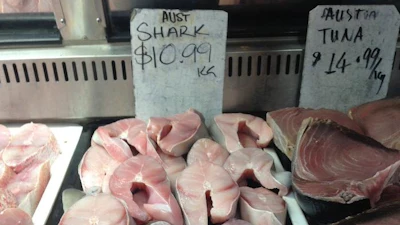 Shark meat on sale at Australian fish market.
