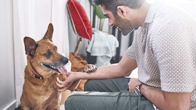 Nestlé Purina is investing about USD $220 million to expand the company's pet food plant in Silao, Guanajuato in Mexico.