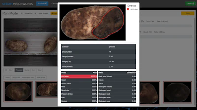 AI system measuring the 'old bruise' percentage on a potato -- a product defect that can be costly if sorted for the wrong customer.