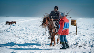 A Mongolian herdsman prepares wood to provide heating for the family