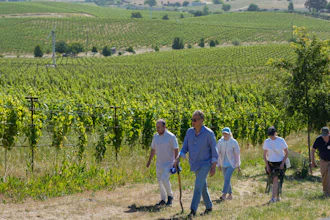 A tour of a Grgich Hills Estate's vineyard to visiting Ukrainian winemakers.
