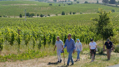 A tour of a Grgich Hills Estate's vineyard to visiting Ukrainian winemakers.