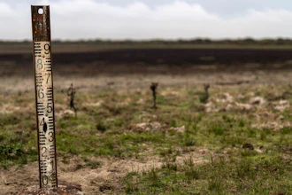 A water meter stands in a dry wetland in Donana natural park, southwest Spain.