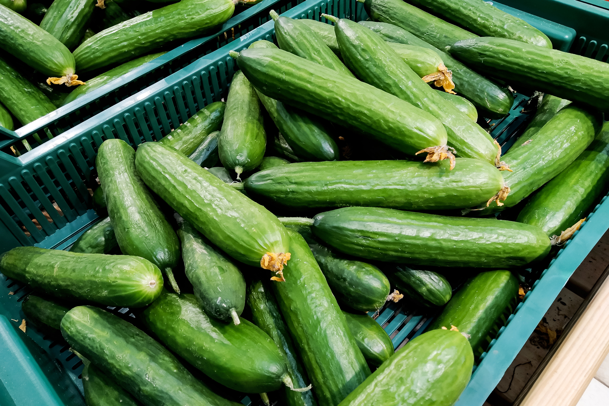 Salmonella Outbreak Could Be Linked To Recalled Cucumbers | Food ...