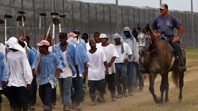 A prison guard rides a horse alongside prisoners as they return from farm work detail at the Louisiana State Penitentiary in Angola, La.