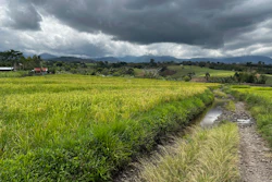 A road at Joemar Flores' farm, Mindanao, Philippines, May 9, 2024.