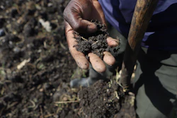 Benson Wanjala sifts through a sample of soil at his farm in Machakos, Kenya, May 21, 2024.