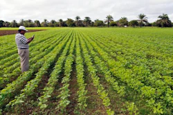 Soy bean production in Colombia's eastern plains.