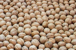 I Stock 1725421861