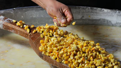 Maize nixtamalization is a process where corn is soaked in calcium hydroxide to prepare it for processing.