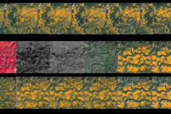 Support Vector Machine (SVM) and Random Forest (RF) classifiers with matched features produced more complete paddy rice mapping results than those with unmatched features, reducing misclassifications of fishponds in the center of the image and significantly outperforming the other three comparison methods in these regions.