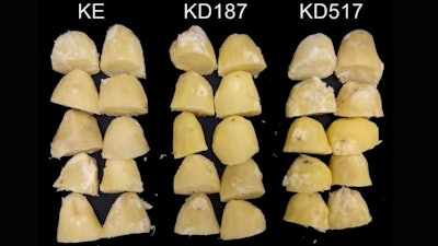 Cooking quality test of five tubers of each line from the field trial in 2023. KE denotes the cultivar King Edward background, and KD denotes the Stdmr6-1 mutant lines.