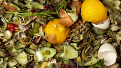 Organic food waste.