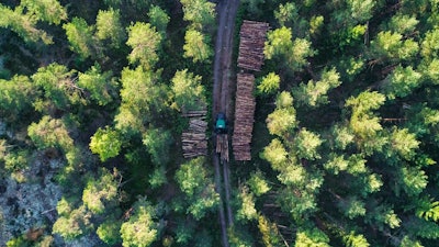 Timber harvesting.