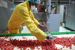 A worker checks bouillon cubes ahead of packaging at the Sweet Nutrition factory in Ota, Nigeria.