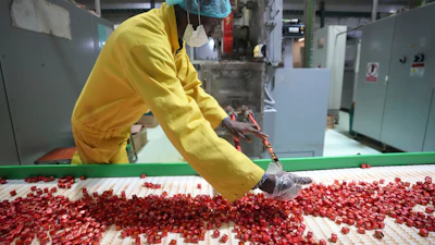 A worker checks bouillon cubes ahead of packaging at the Sweet Nutrition factory in Ota, Nigeria.