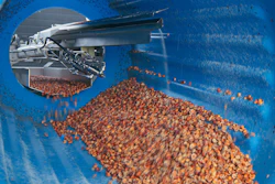 Fshs Nut Processing Group Flavor Wright