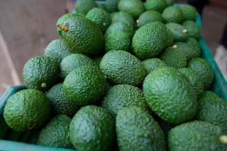 A crate of avocados at a packing facility in Kayanza province, Burundi, Sept. 18, 2024.