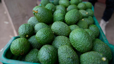 A crate of avocados at a packing facility in Kayanza province, Burundi, Sept. 18, 2024.