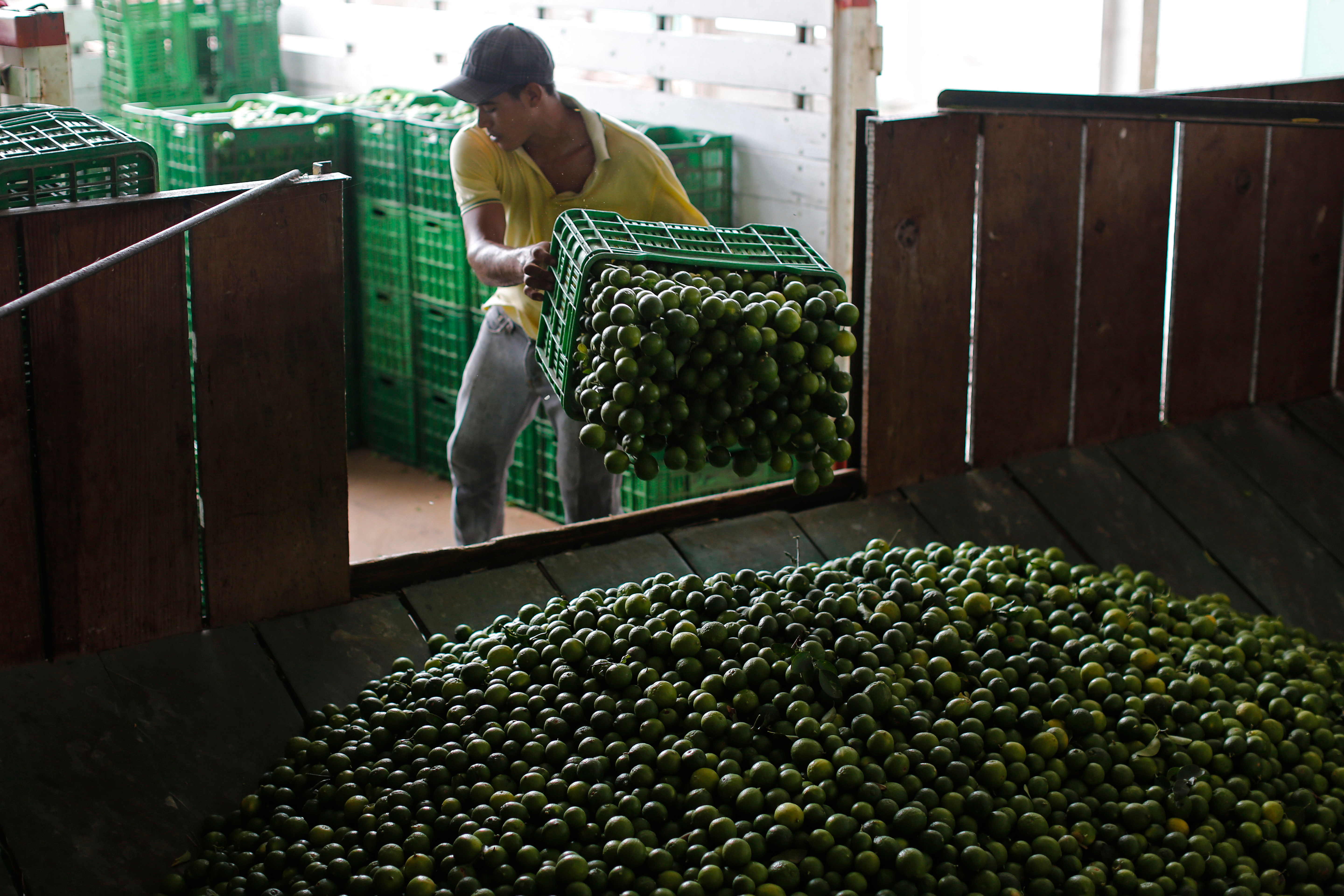 Mexico Sends 660 Soldiers, National Guard to Protect Lime Growers