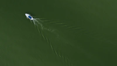 A boat motors through Lake Erie during an algal bloom, Maumee Bay State Park, Oregon, Ohio, Aug. 26, 2024.