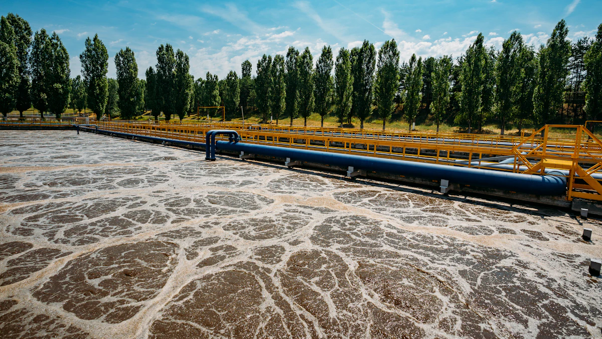 Wastewater bacteria to combat plastic pollution