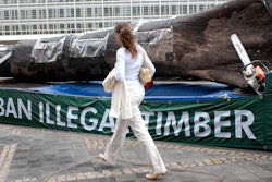 A woman walks past a 12-meter Amazon tree trunk placed in front of the European Union Council building by environmental activists, Brussels, July 2, 2008.
